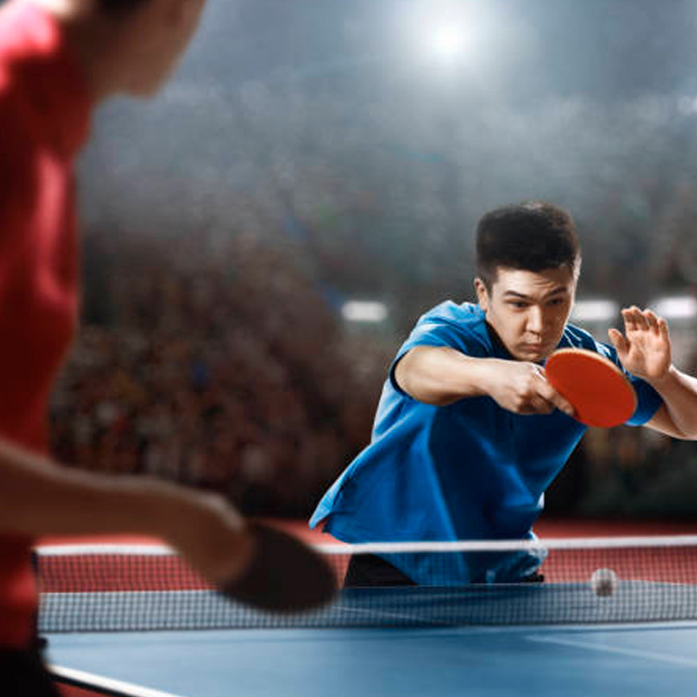 Sunflex Expert A30 Table Tennis Bat
