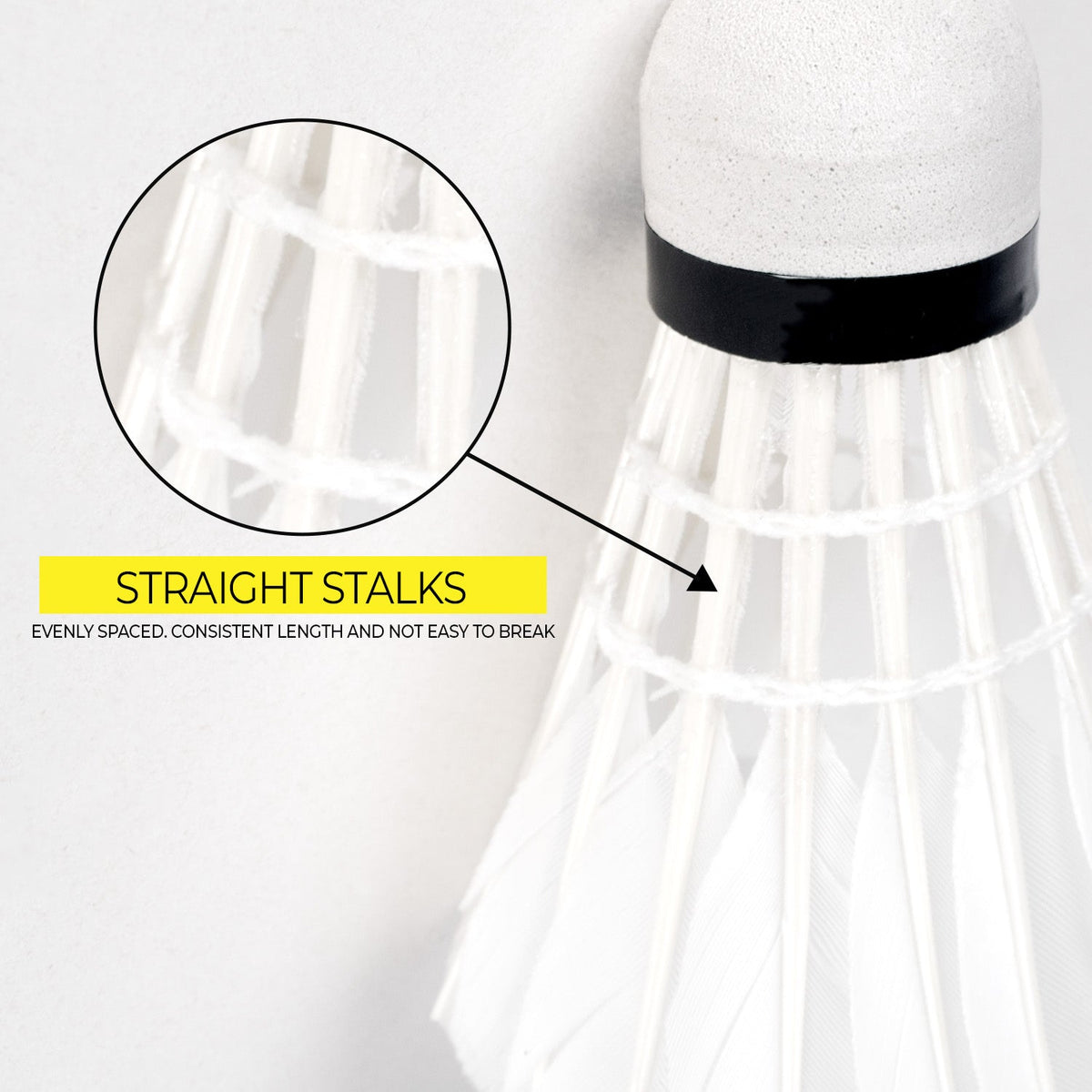 Elite x360 Feather Shuttlecock 6pcs