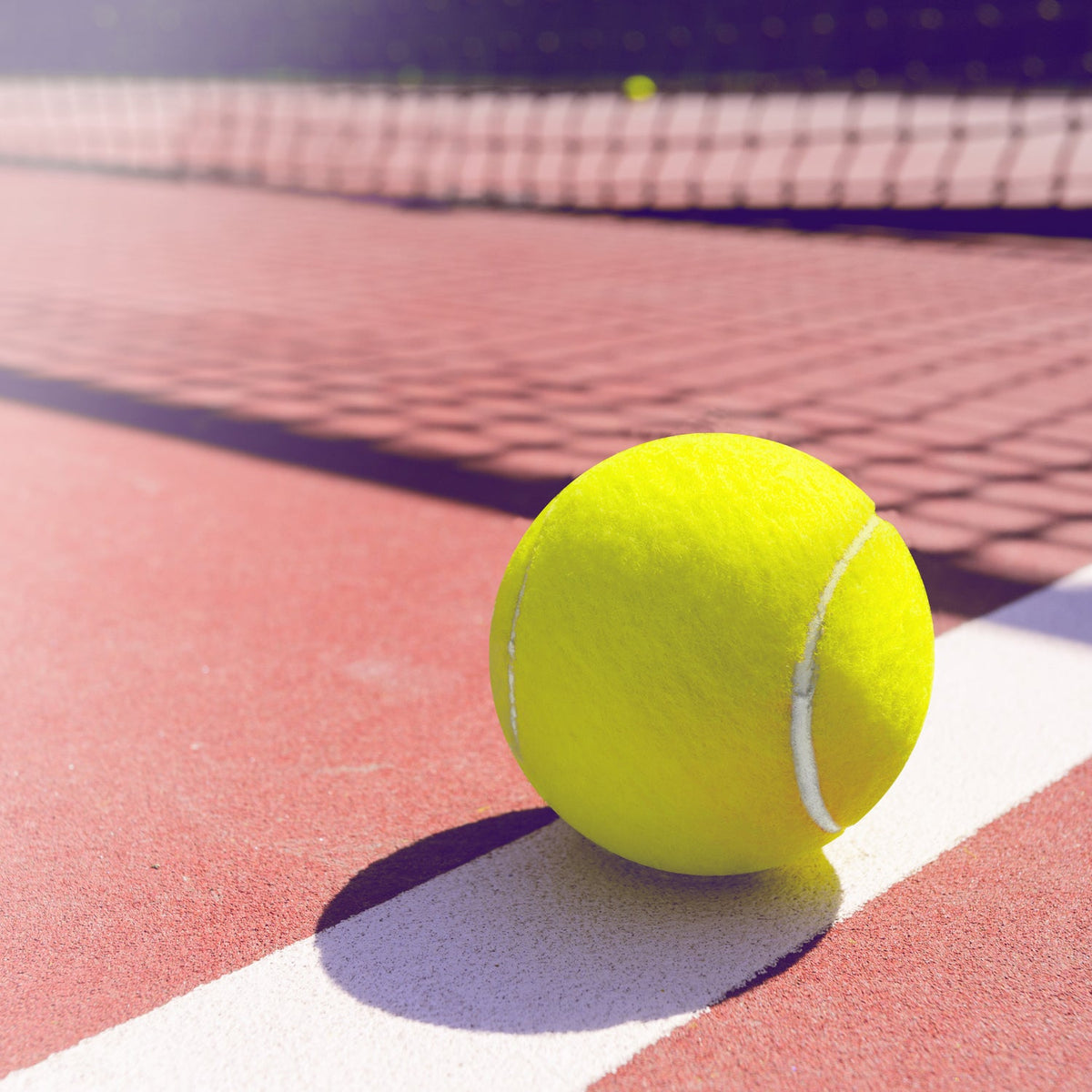 Elite Trainer Tennis Balls 3 pcs