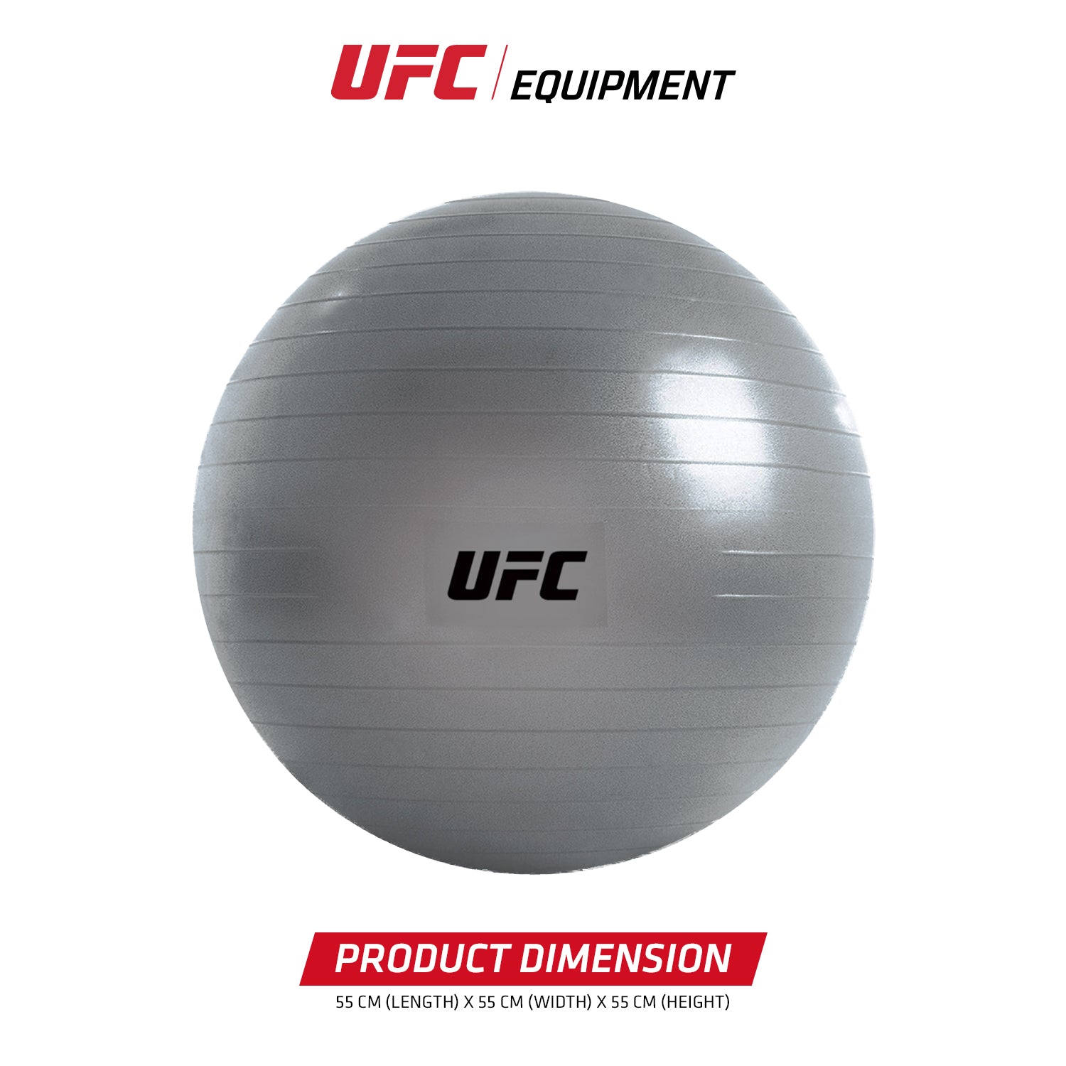 UFC Fitness Exercise Ball with FREE Pump - 55 cm